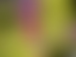 Img 20260529 112844596