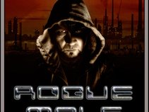 Rogue Male