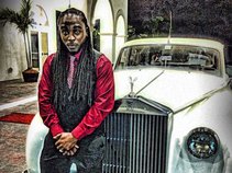 Pelle       (Potent Society)