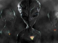 Elements Of A Dark Universe