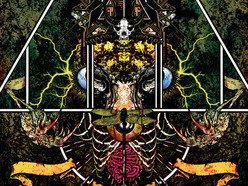 Image for Hunters