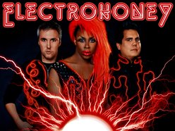 Image for ELECTROHONEY