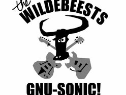 Image for The Wildebeests