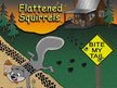 FLATTENED SQUIRRELS