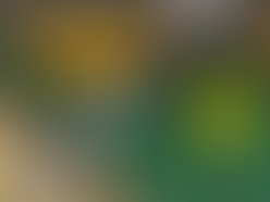 Cdtraycard front 1285433779 1289227123