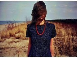 avagadro cavadas
