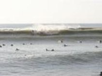 Native Texan Surfer