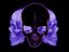 Michael "Grindcorefan" Krivoshey (Fan)