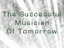Successful Musician (Fan)