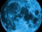 bluemoondragonfly™