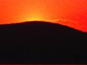 Desert Sun