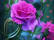 Mari Angustias Beltran Calvo