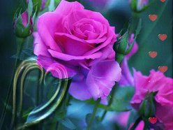 Mari Angustias Beltran Calvo