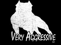 Very Aggressive LLC (Graphic Division)