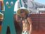 <<< BuRnEr-GuMbY >>> (Fan)