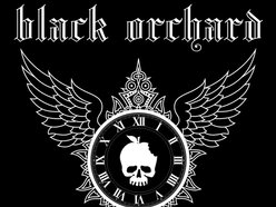 Black Orchard