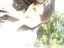 Florencia Valdez (Fan)