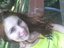 Adis Adina (Fan)