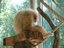 Martin Stoeger (Fan)