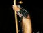 Dicka Basstardamn (Fan)