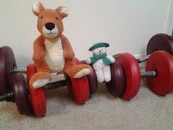 walttravels