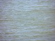Schene Blaue Donau