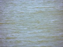 Schene Blaue Donau