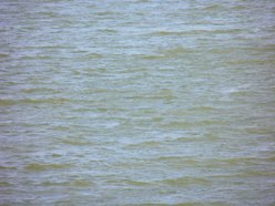 Schene Blaue Donau