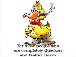Deranged Duck