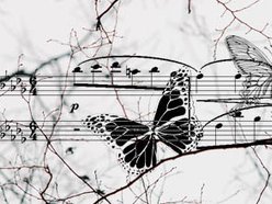 bluegrass butterfly