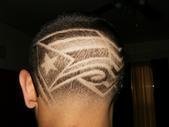 Pedro_GotFLOW