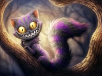 Purrrfect Productions