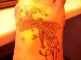 DragonFly_Donna