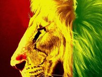 Cool Rasta