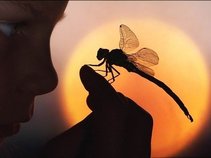 dragonflyme3