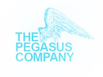 thepegasuscompany