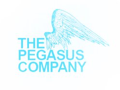 thepegasuscompany thepegasuscompany