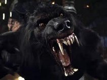 EvilWolf
