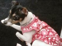 Dixie Lee 2011