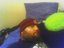 Kenny32