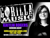 Gorilla Kaitlin