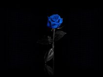 Cindy Sue Blue