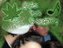 Kweensmoker420 (Fan)