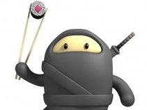 Ninja Fan