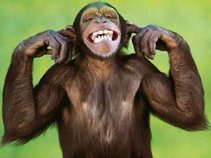 Bobby Franklin the Monkey