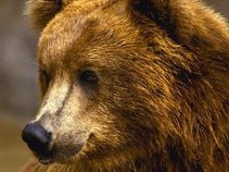 bearsmiles