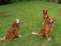 rivermutts28