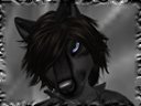 RavenSkye
