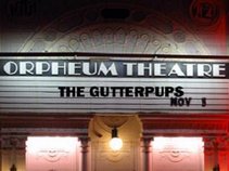 gpups-superfan