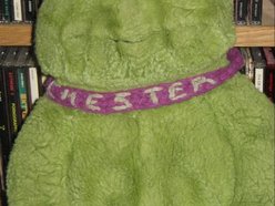 Chester Carolla